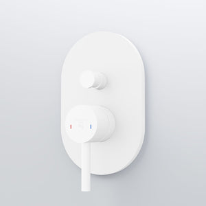 Steinberg Series 100 ready-mounted fitting concealed For tub/brown lever mixer with automatic transformers