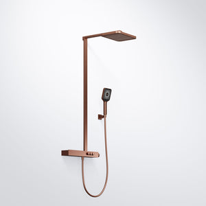 Steinberg Series 390 shower set