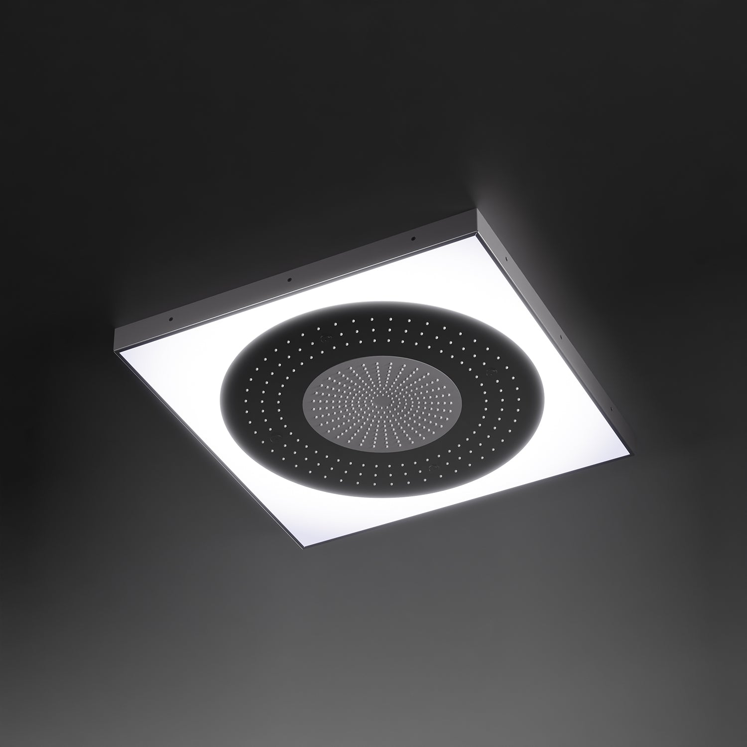 Steinberg Series 390 Sensual Rain rain panel