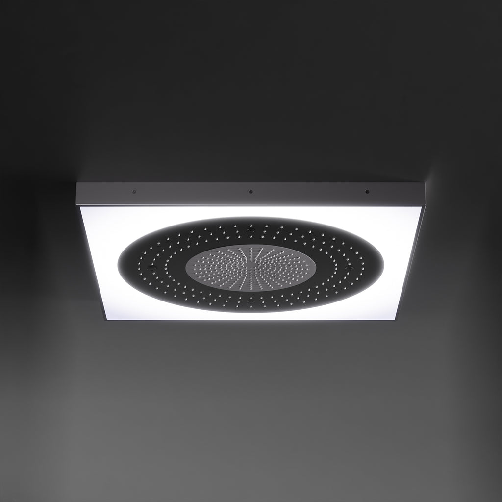 Steinberg Serie 390 Sensual Rain Regenpaneel