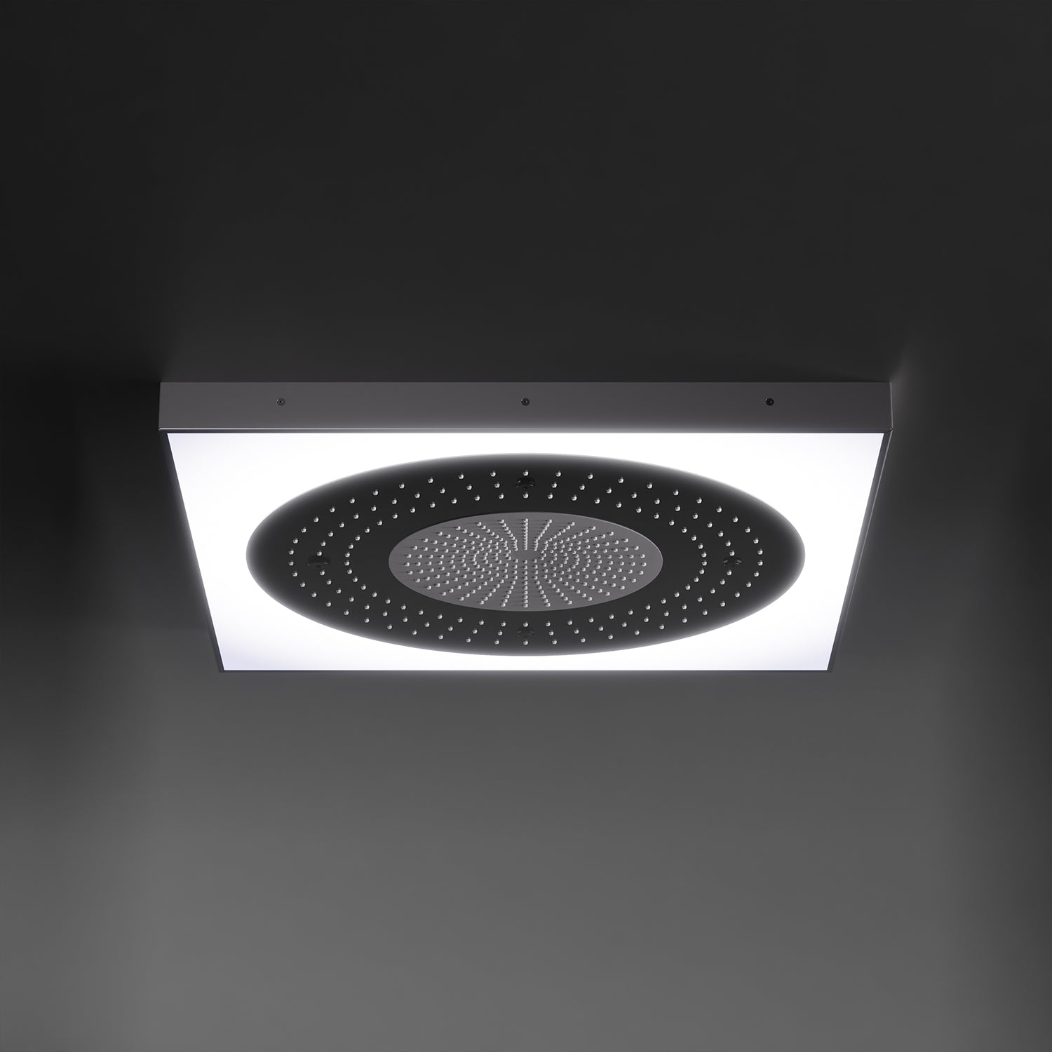 Steinberg Serie 390 Sensual Rain Regenpaneel