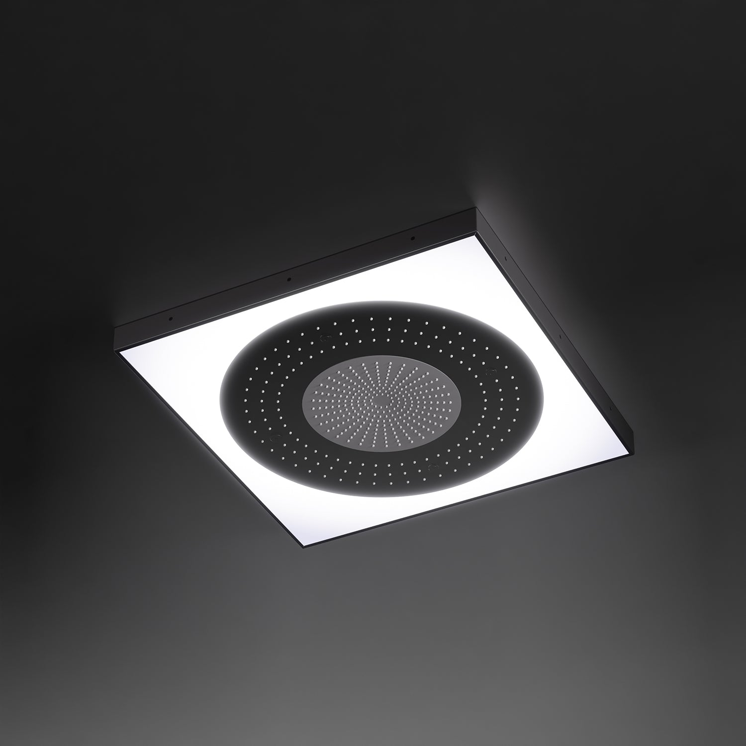 Steinberg Series 390 Sensual Rain rain panel