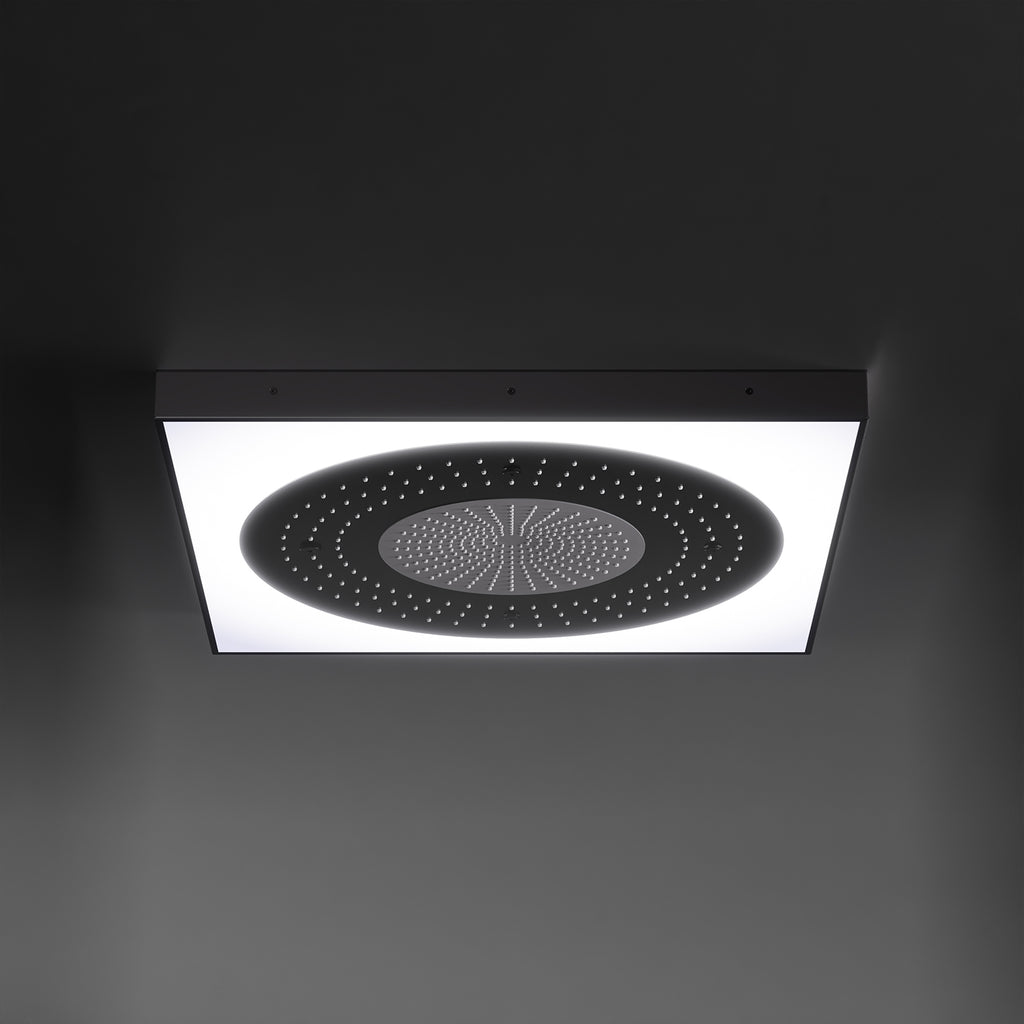 Steinberg Serie 390 Sensual Rain Regenpaneel