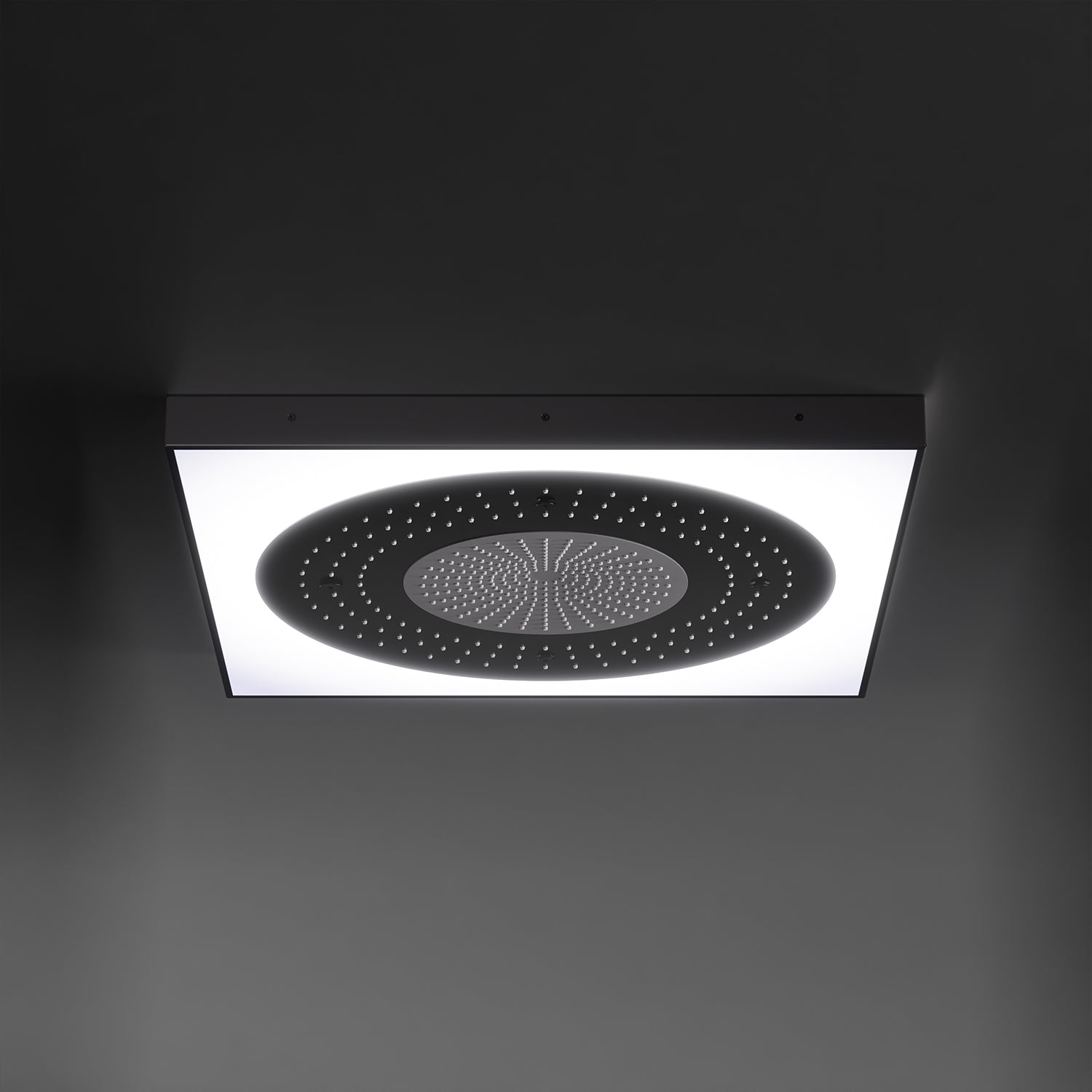 Steinberg Serie 390 Sensual Rain Regenpaneel