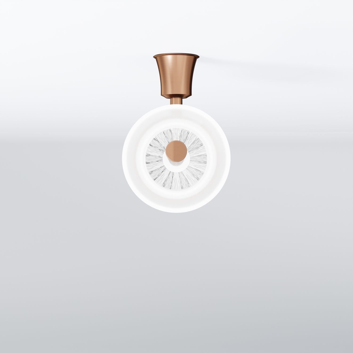 Steinberg Ensemble de brosses de série 550