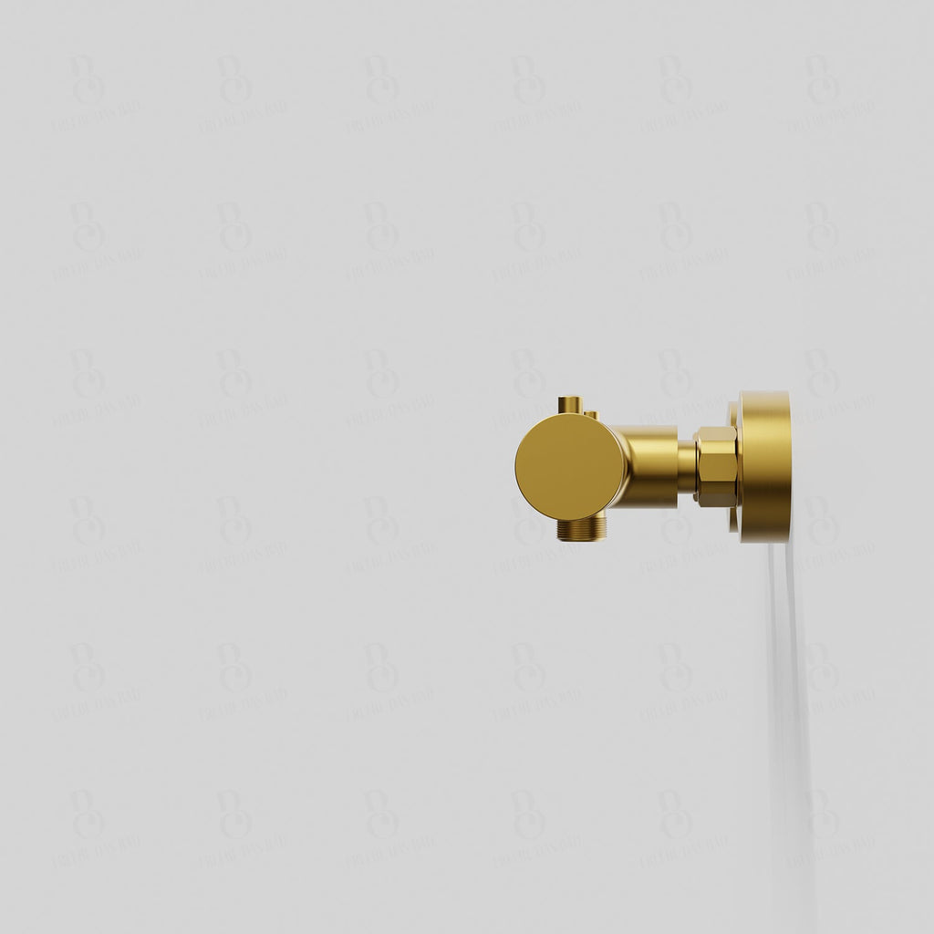 Thermostat en surface série 101 ½'' pour douche