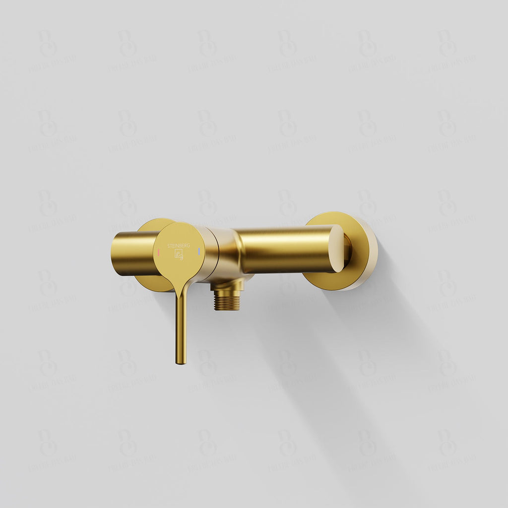 Mitigeur de douche série 101 1/2''