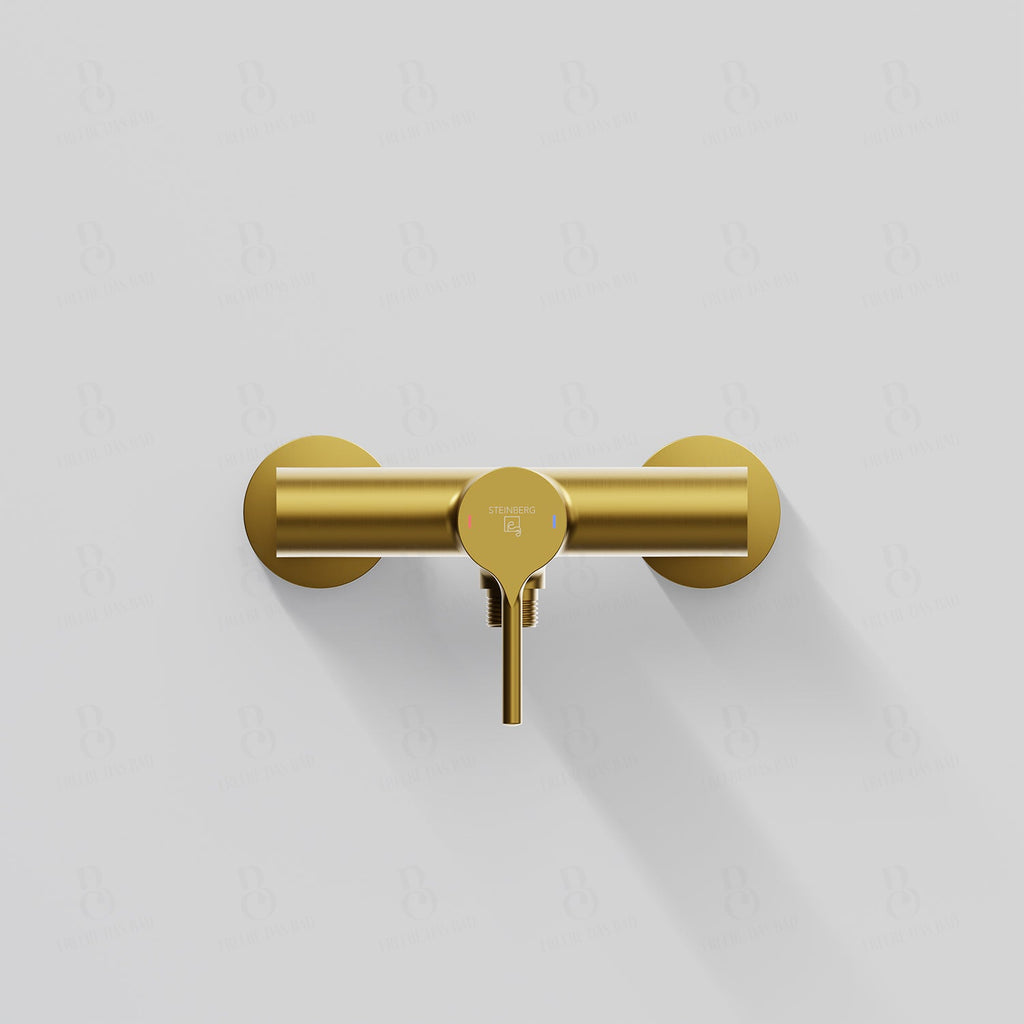 Mitigeur de douche série 101 1/2''