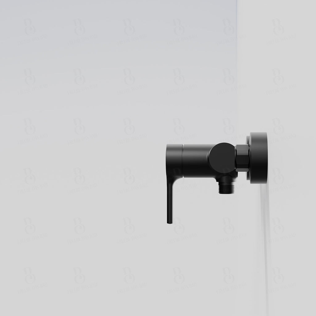 Mitigeur de douche série 101 1/2''