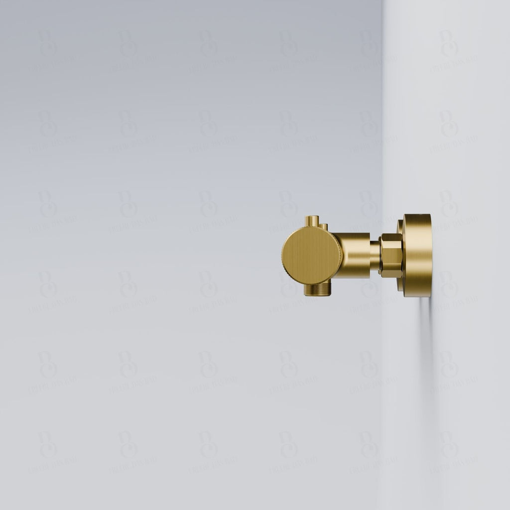 Or brossé