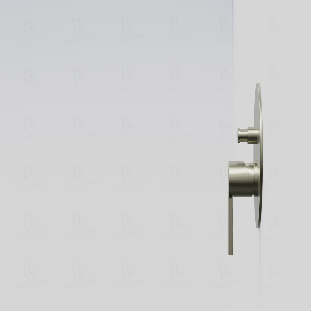 Brushed nickel