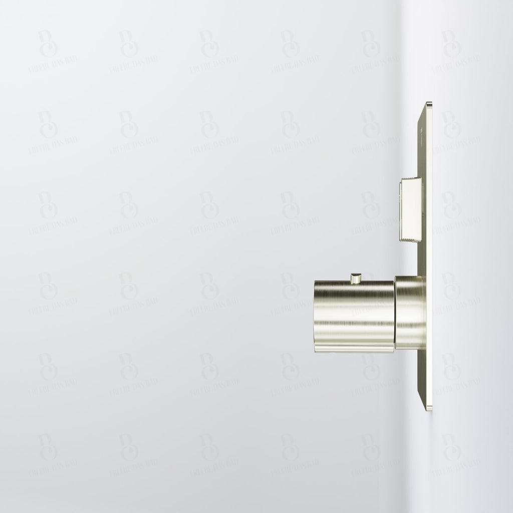 Brushed nickel